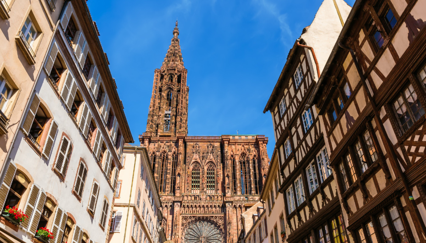 BTS MCO à Strasbourg : une formation clé pour réussir dans le commerce !