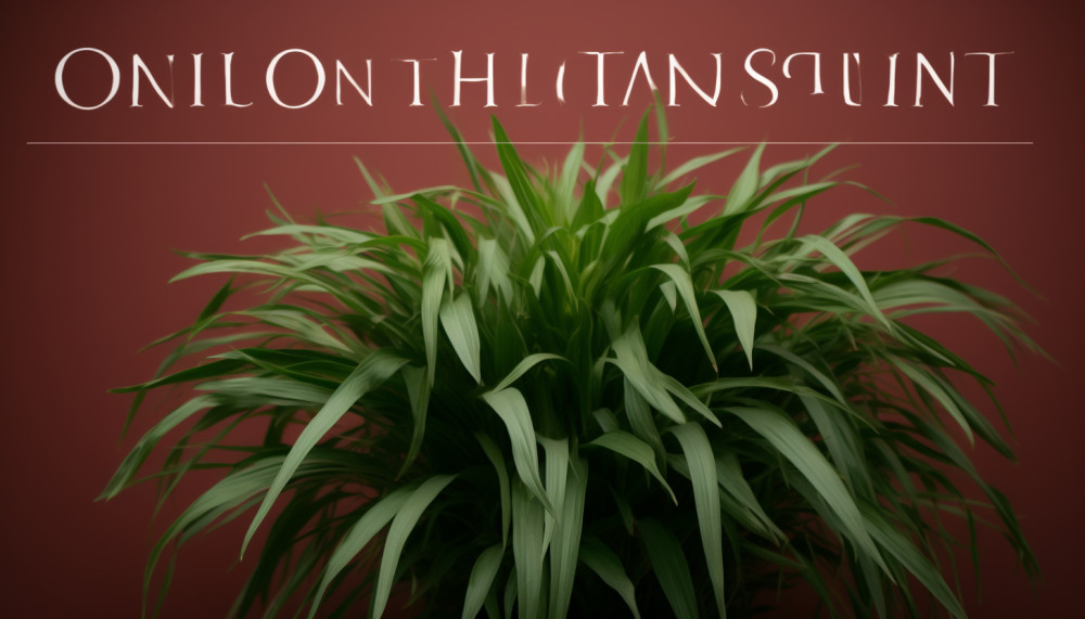 Pourquoi consulter un ostéopathe ?